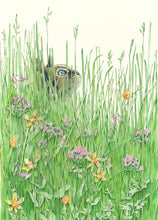 Load image into Gallery viewer, Cat in the grass - Greetings Card