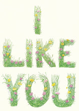 Load image into Gallery viewer, I Like You - letters made out of meadow grass - greetings card