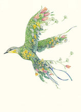 Load image into Gallery viewer, Western Yellow Wagtail- Card