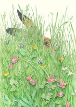 Load image into Gallery viewer, Hare in the grass - Greetings Card
