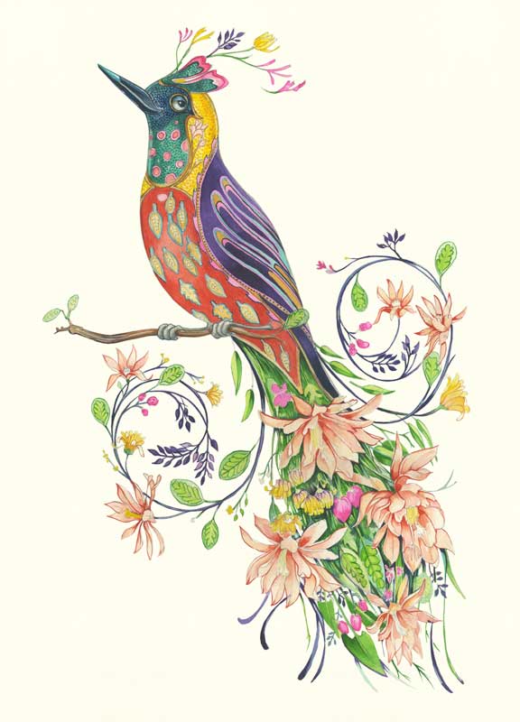 Extra fancy bird of paradise - Card