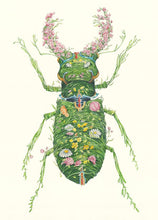 Load image into Gallery viewer, Stag Beetle - Card - The DM Collection
