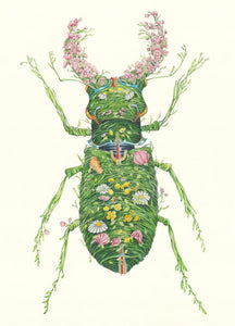 Stag Beetle - Card - The DM Collection