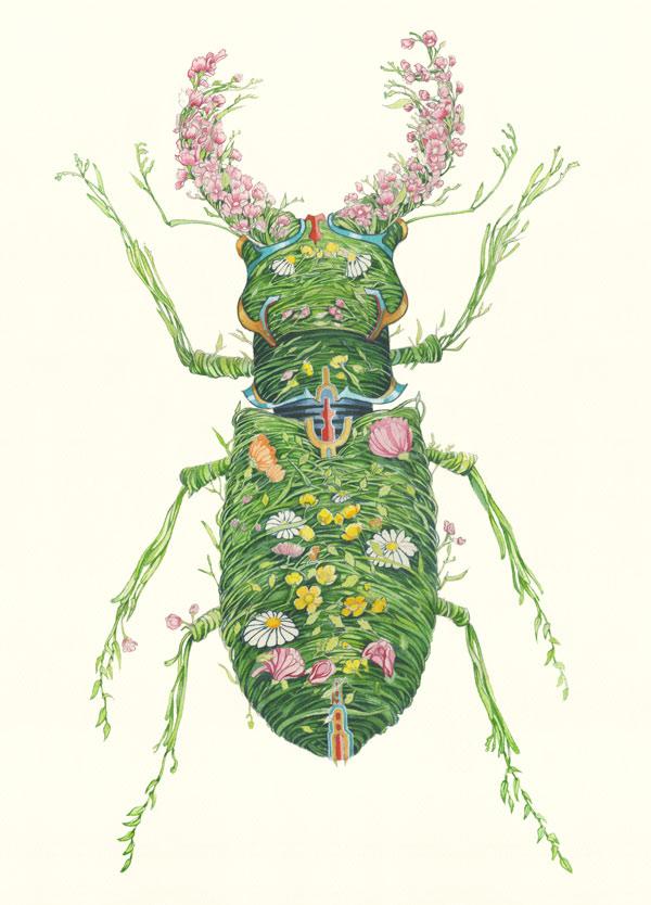 Stag Beetle - Card - The DM Collection